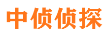 下陆侦探公司